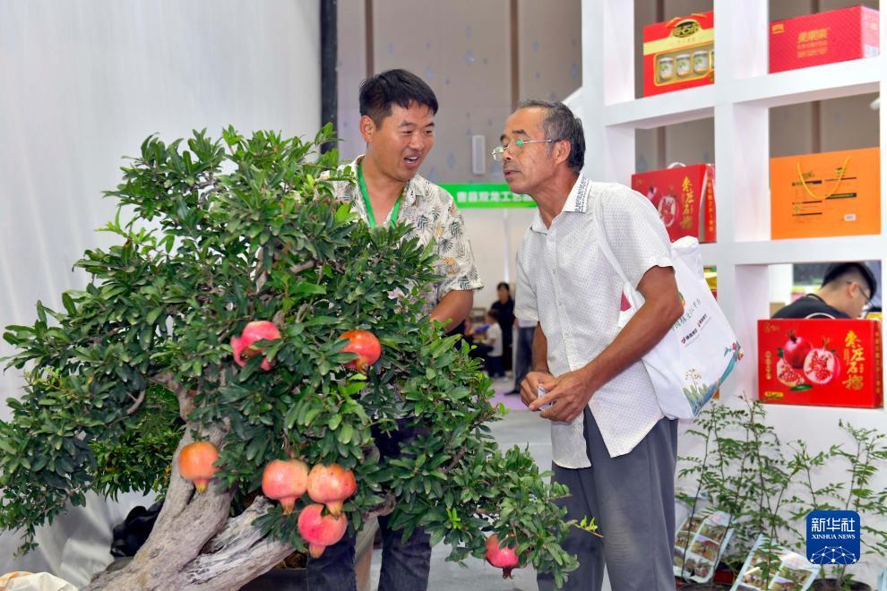水果机技巧
